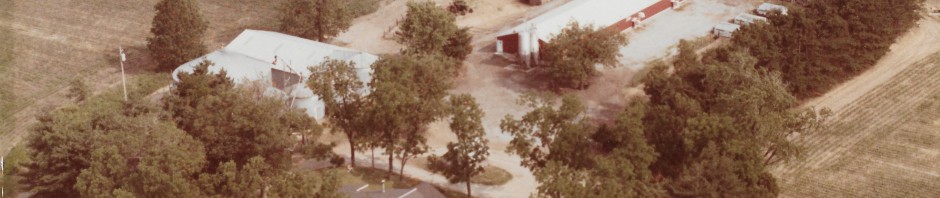 Story Farm 1984